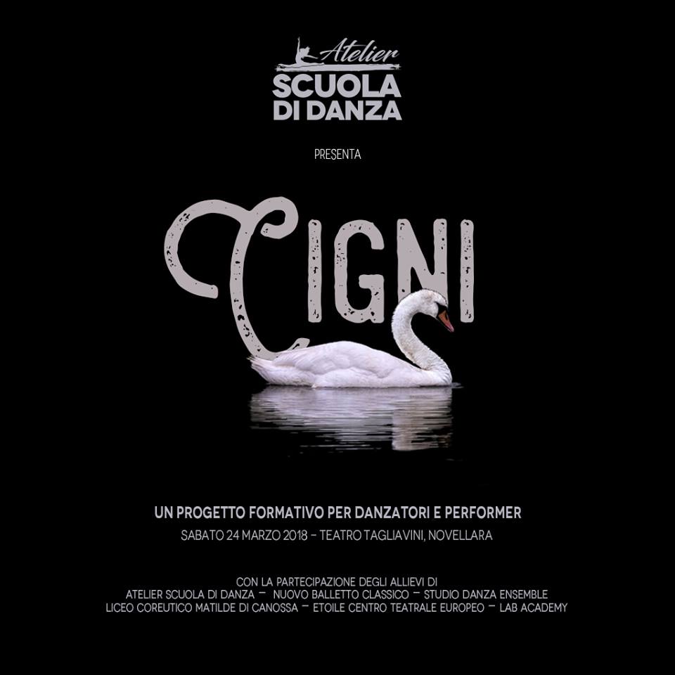 cigni locandina
