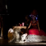 1592_TamaraBoscainoFotografie