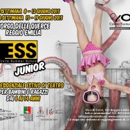 BANDO ESS JUNIOR 2015